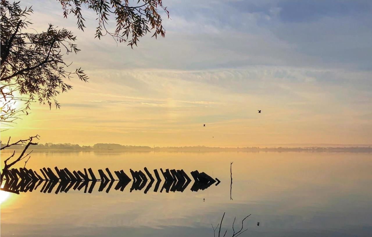 Lovely Home In Lembruch-Duemmer See With Sauna ภายนอก รูปภาพ